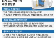 "당장의 공급 넘어"…국토부, 건축규제 개편도 '속도전'