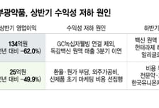 상반기 수익성 숨 고른 전통제약사…지난해 한미약품 반전 이을까