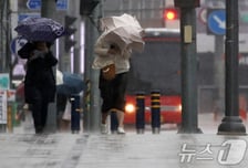 [오늘날씨]경상권 '시간당 50㎜' 폭우…전국 흐리고 소나기