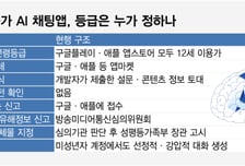"미성년자도 19금 대화" 12세 이용가 'AI 채팅앱'...구글·애플이 연령등급 붙였다