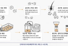 메디포스트, 모유두세포배양액 CDMO 계약…"공급 기반 확보"