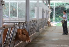 한우값 강세에 소고기 수입 21.8%↑…브라질산 수입도 변수
