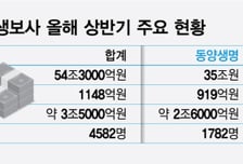 자산 55조 '공룡 생보사' 탄생… 우리금융, 5위권 생태계 흔든다