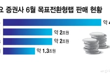 '목표전환형랩' 뜨거운 인기 6월 한달에만 10조 팔렸다