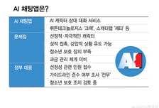 [단독]AI 채팅앱 켰더니 '자취방 여사친'…"선정적" 민원에도 조사 0건