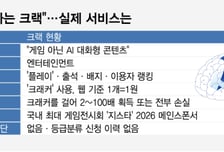 "게임 아니라며?" 지스타 간판 된 크랙…'게임 기능' 심사는 누가