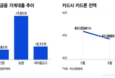 "우리도 기회 오나요"… 가계대출 논의 소외감 느끼는 2금융