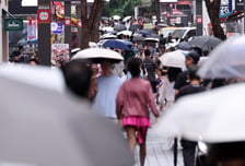 [오늘 날씨] "우산 챙기세요"…무더위 속 중부·남부 곳곳 소나기