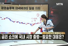[급등수사본부]  금강산 리조트 보유 이력 '아난티' vs AI 퍼포먼스 마케팅 전문 업체 '매드업'