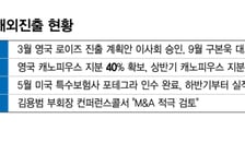 삼성화재·DB손보 이어 KB손보도 해외로…손보업계 글로벌 확장 속도