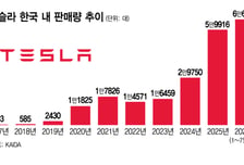 "이 '하차감'은 새롭네" 테슬라 인기 비결...돌풍 계속? 이제 끝물?