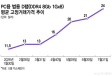 HBM 열풍의 역설… 구형D램 '귀하신 몸'