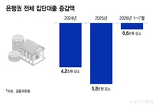 '업권 칸막이' 없이 집단대출 10조 풀릴듯..상호금융發 급증 우려도