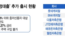 연 10%대 1000만원 대출, 인기터지네… 캐피탈 "우리도 하자"