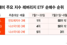 단일레버리지 '2차 풍선효과' 없었다…서학개미 '3배 베팅' 꺾여