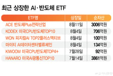 낸드메모리 ETF도 나온다...영역 넓히는 AI반도체 ETF