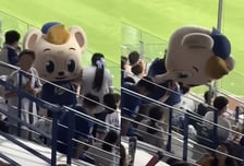야구장 마스코트 머리를 '퍽'..."자식 잘못 가르쳤다" 아버지 등판