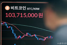비트코인 7만7000불 뚫었지만…"올 연말 떨어진다" 예측시장선 찬물