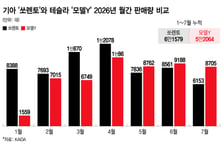 "차값이 시가냐" 눈총 받았는데…"안방도 뺏길 판" 테슬라 질주 이유