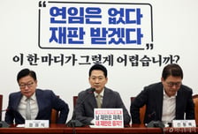 與 조희대 때릴때 웃는 野..."삼권분립 침해" 연일 맹공 퍼붓는 이유