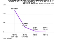 "반도체주 바닥?" 단일레버리지, 해외선 '줍줍'...한국은 '찬바람'