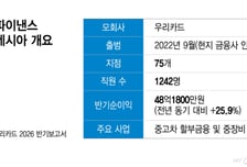 보험사보다 잘 버네… 우리카드 인도네시아 법인, 여전사 중 최고