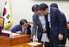 메가특구법 비협조 우려에…與 "정무위서 논의" 野 "산자위 소관"