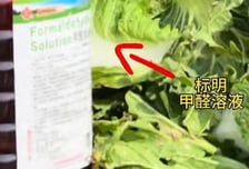 '알몸김치' 잊을 만하니 발암물질 배추…중국산 먹거리 또 불안
