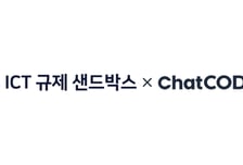 "우리 사업, 무슨 규제에 걸리지?"…정부가 택한 '챗코딧'