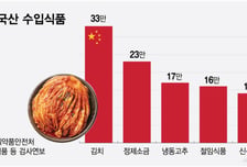 지난해 33.6만톤 들어왔는데… '발암 물질' 中김치 비상