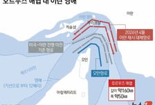 이란·오만, 호르무즈 '임시 해상통로' 뚫는다…기뢰 제거도 합의