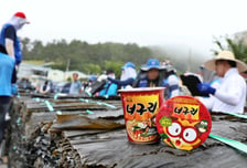 45년째 이어진 '너구리 인연'…농심, 완도 다시마 490톤 구매