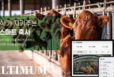 엔비디아가 성장 돕는다…소 이상징후 포착 '알티멈', 엔업 선정