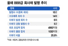 고수익률 제시도 안 통해…BBB급 발행 기업 절반이 미매각