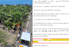 "여자 혼자 다니면 안 돼" 5년 전 글 재조명...제주도, 괴담 확산에 골머리