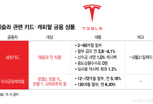 그랜저 이긴 테슬라 '모델 Y'… 카드·캐피탈 할부, 어디가 쌀까