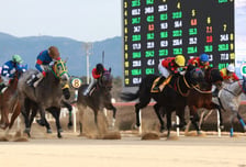 한국마사회 영남지역본부 9월 44개 경마 시행