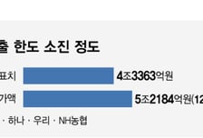 목표 기준 연말 대신 6월말?… 당국, 가계대출 페널티 논란