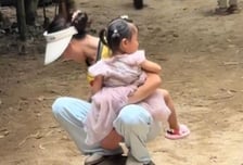 거북이 등에 올라탄 '몰상식' 엄마…아파서 발버둥 치는데 "아들도 타"