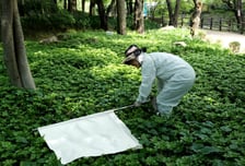 서울시 '가을철' 도심 진드기 감시 강화…위험 바이러스 검출 '0'