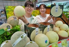 무게 3.2Kg에 최고 당도...롯데마트, '허니듀 킹메론' 한정 판매