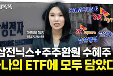 삼전닉스 성장+주주환원 효과 더 누리는 투자법은?[머니똑똑]
