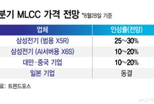 잘나가는 삼성전기 MLCC 가격 전방위로 오른다..완성품 업체도 대상