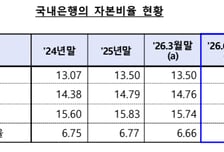 국내은행 자본비율 규제선 웃돌아…2분기 소폭 상승