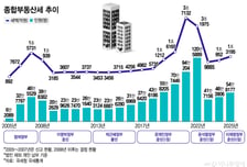 '8·31 대책' 후 21년…한 번도 '정상적이지 않았던' 세금 종부세