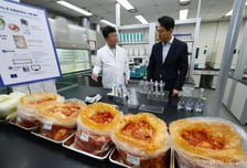 중국 배추 불안감에…서울시, 김치 취급업소 원산지·위생 특별점검