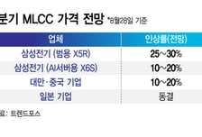 유통기업 이어 완성품까지… 삼성전기 MLCC가격 올린다