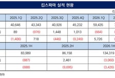 [더벨]킵스파마, 배터리솔루션즈·엘피스팜 최대실적 견인
