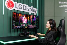 삼성·LG 이번엔 'OLED' 모니터 대박..가격 낮추고 기술 높여 영토 확장