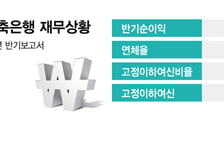 상상인저축은행 매각 수렁에… KBI, 주식취득 승인 신청 철회